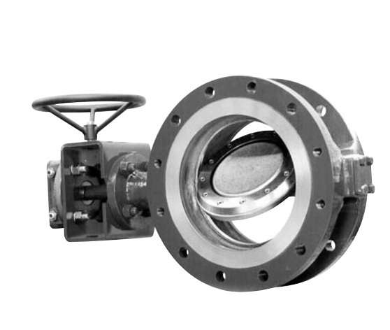 Triple Offset Butterfly Valve Assy (Body, Disc, Shaft)